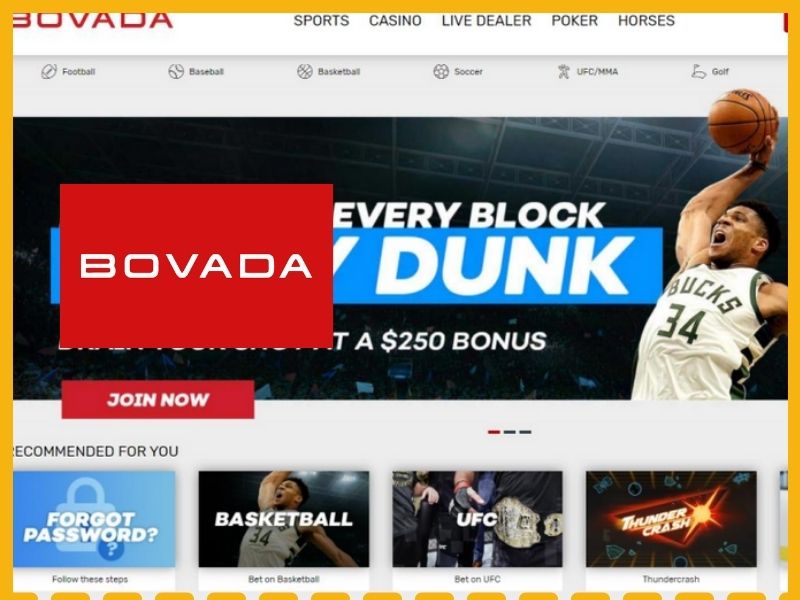 Bovada sports betting website overview