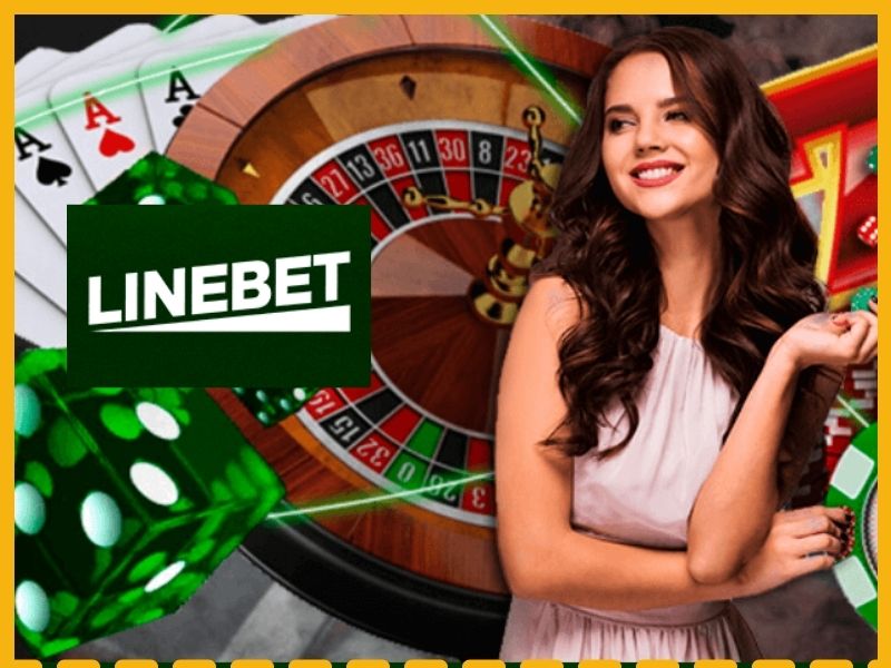 Linebet gambling platform information